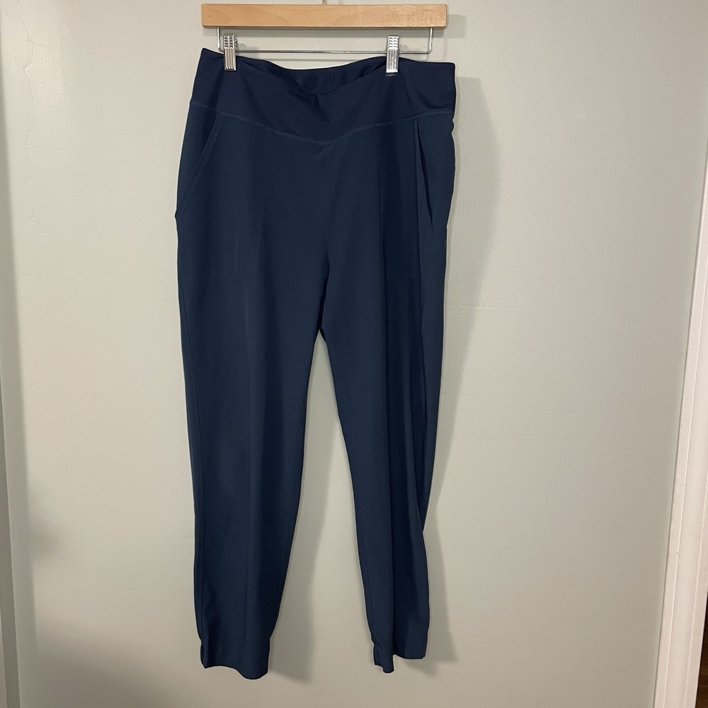 Patagonia Navy Blue Jogger Track Pants